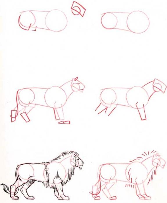 как нарисовать льва поэтапно