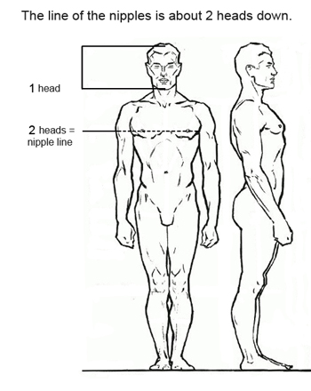Drawing proportions