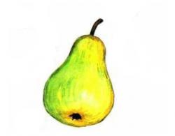 уроки рисования овощи и фрукты