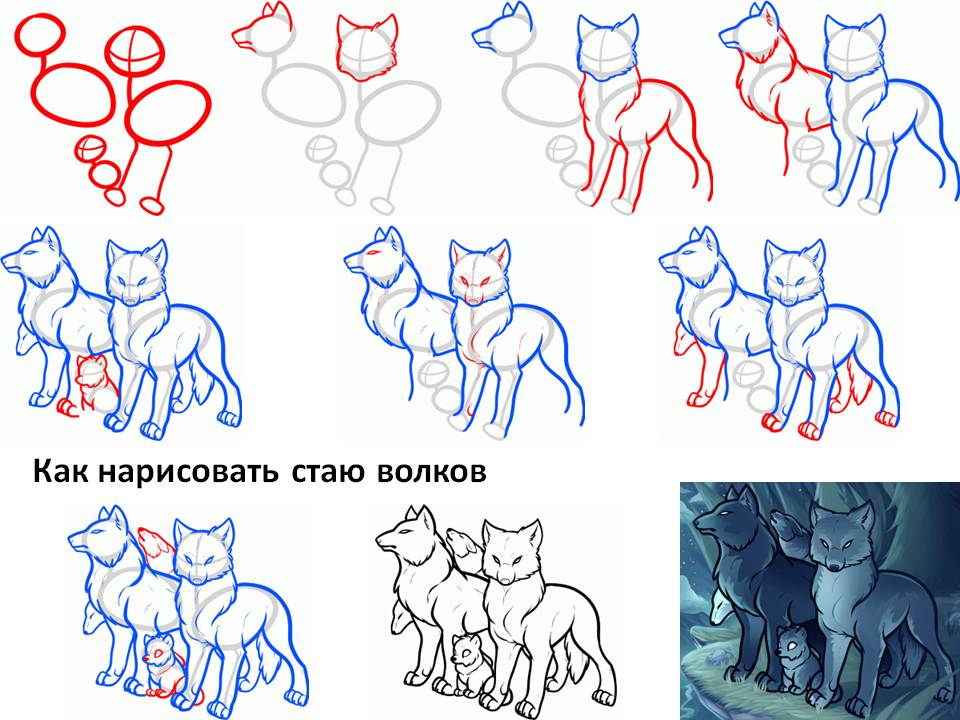 Как нарисовать стаю волков
