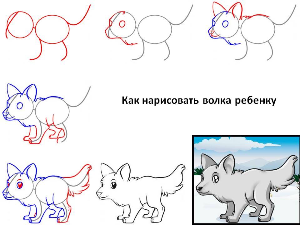 Как нарисовать волка ребенку