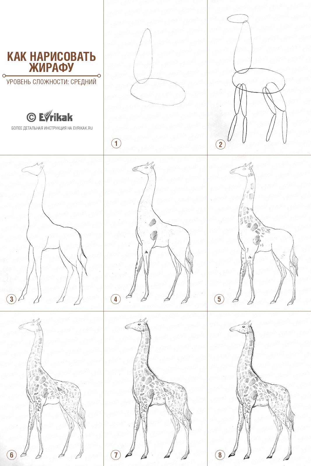 как нарисовать жирафа карандашом поэтапно