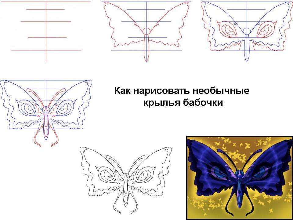 Как рисовать бабочку картинки