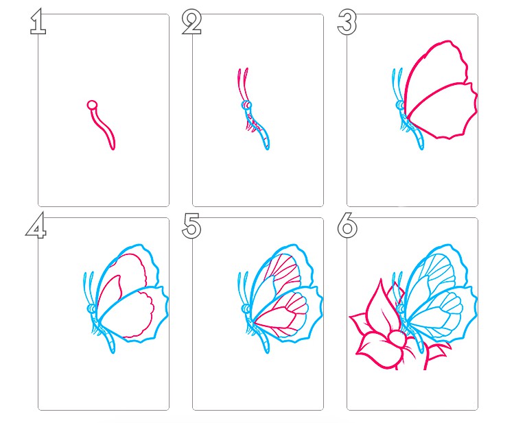 Как рисовать бабочку карандашом поэтапно для детей