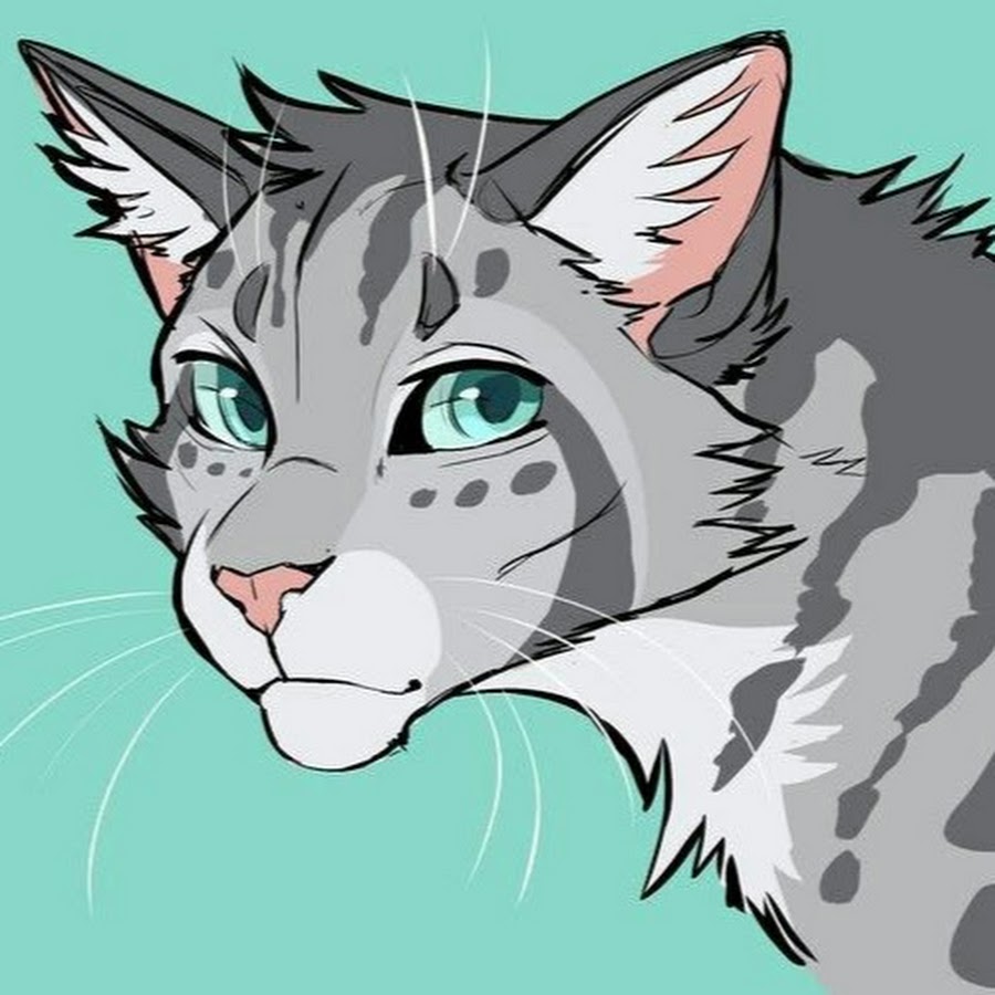 Коты воители арты для срисовки. Jayfeather коты Воители Art. Коты Воители рисовка. Коты Воители для срисовки. Арты котов воителей для срисовки.