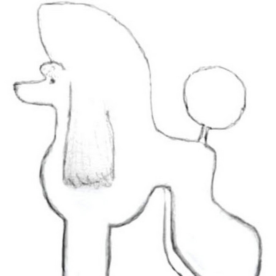 Пудель рисунок легкий