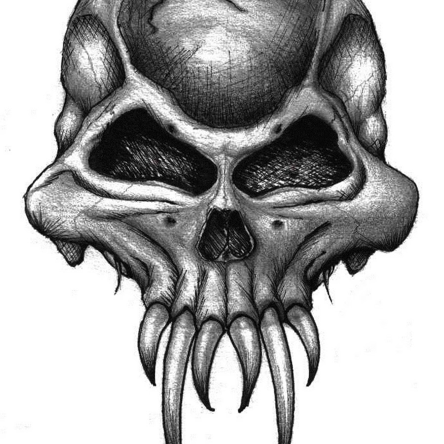 Череп козы рисунок